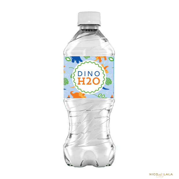 Dinosaur Birthday Water Bottle Labels