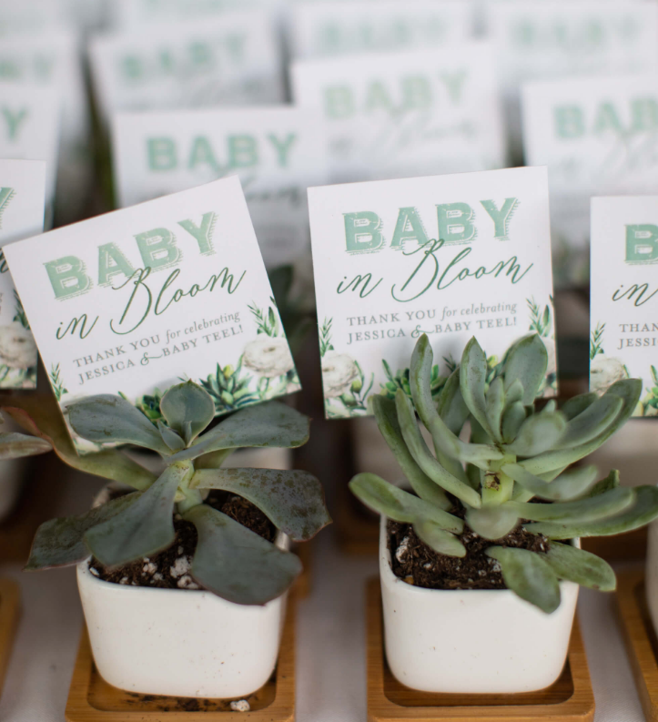 Sophisticated Succulent Shower Favor Tags