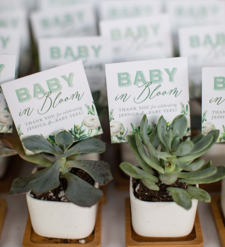 succulent shower favors Sophisticated Succulent Shower Favor Tags – Nico and Lala
